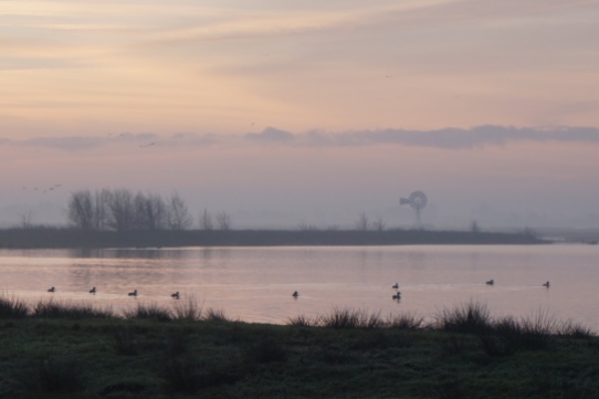 Groepsaccommodatie-Friesland-mooi uitzicht over t land