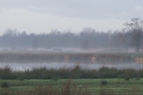 Groepsaccommodatie-Friesland-nevel in de vroege morgen